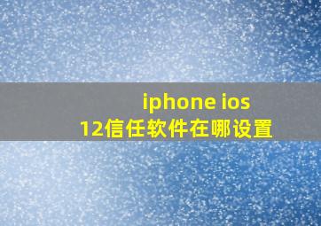 iphone ios12信任软件在哪设置